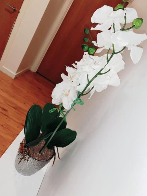 2 Bed Apartment With Free Parking Chelmsford Exteriör bild
